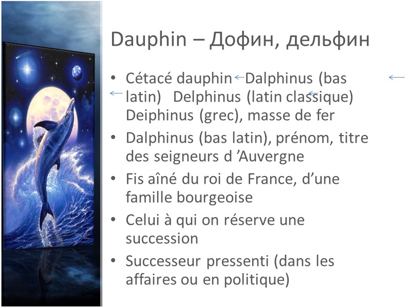 Dauphin – Дофин, дельфин Cétacé dauphin   Dalphinus (bas latin)   Delphinus